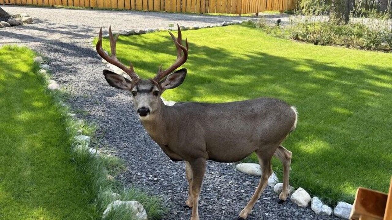Photo of Outdoor in Bragg Creek