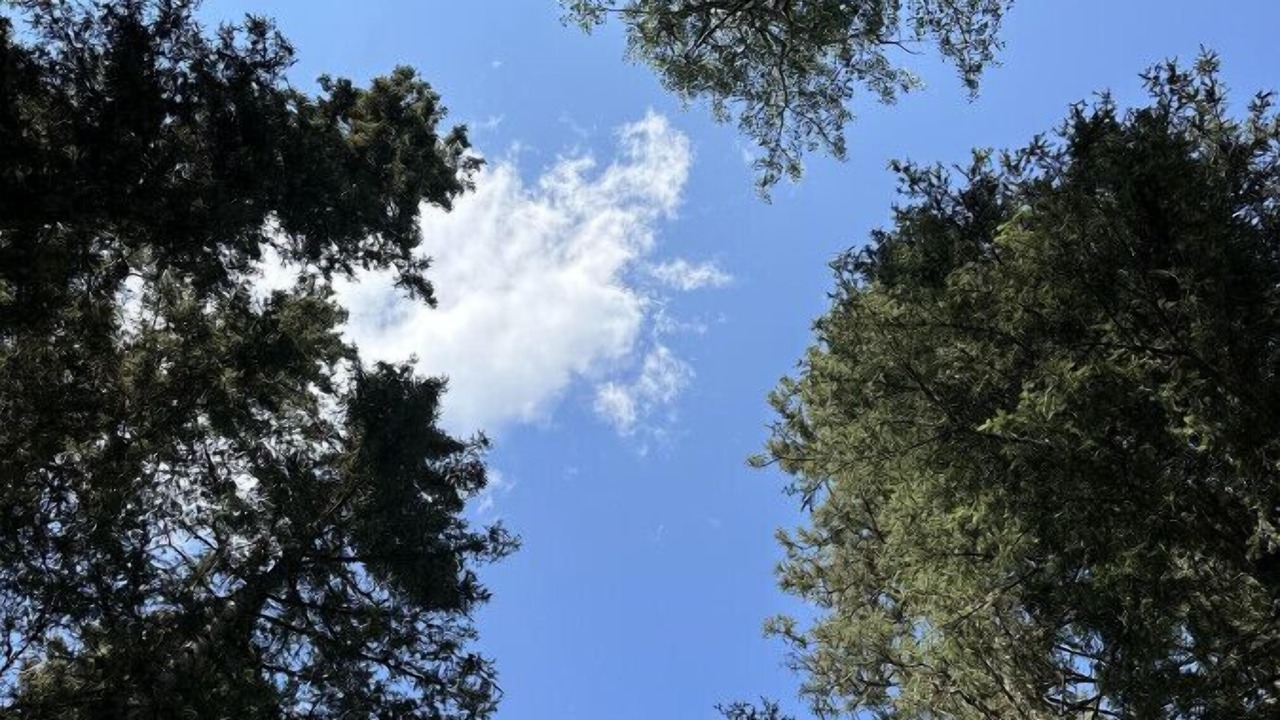 Photo of Outdoor in Bragg Creek
