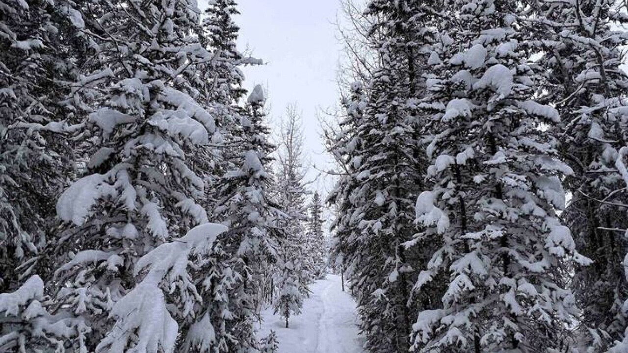 Photo of Others in Bragg Creek