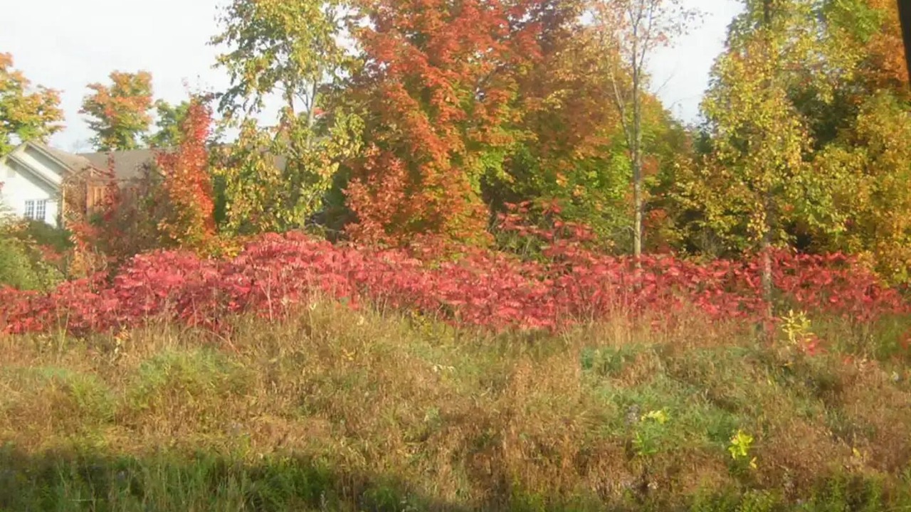 Photo of Outdoor in Oro-Medonte