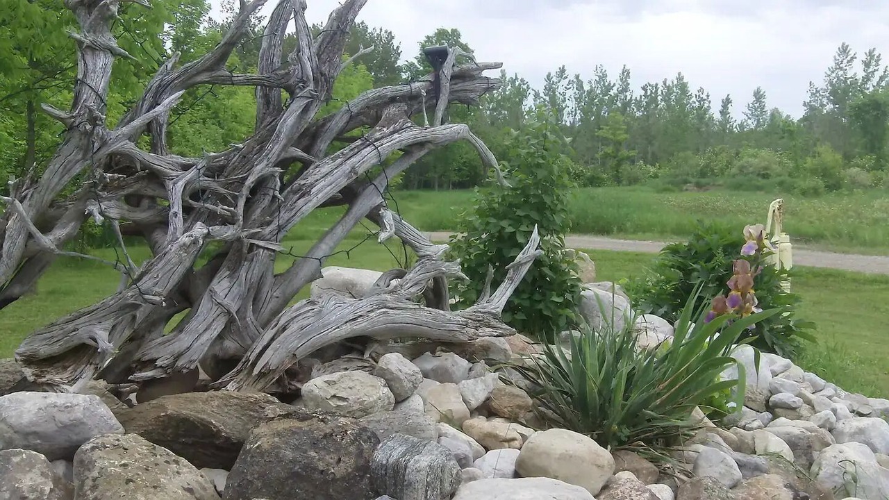 Photo of Outdoor in Oro-Medonte