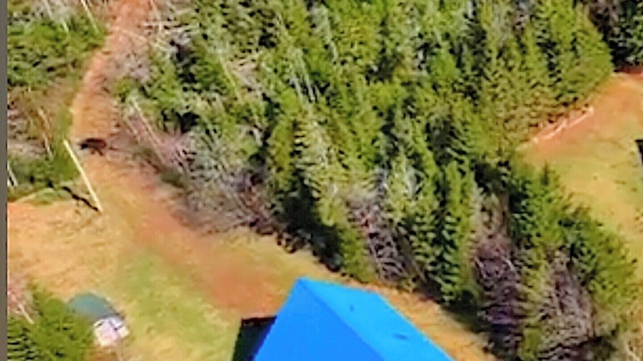 Photo of Outdoor in Prince County
