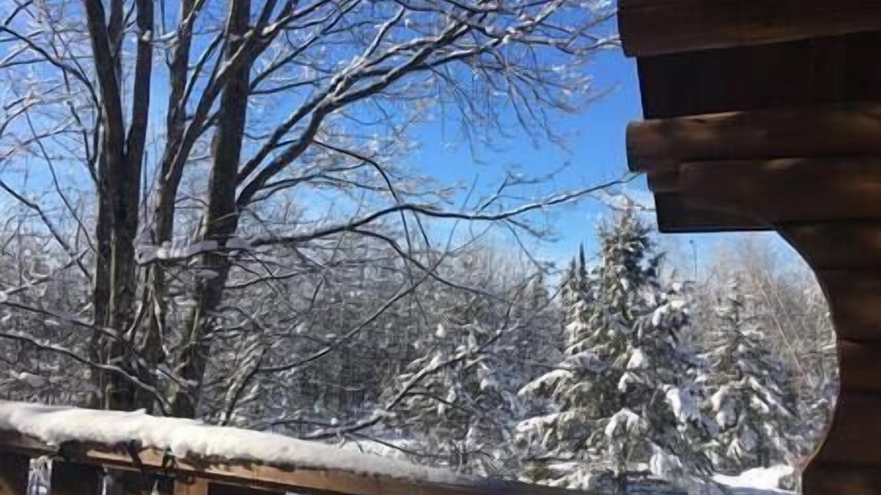 Photo of Outdoor in Potton