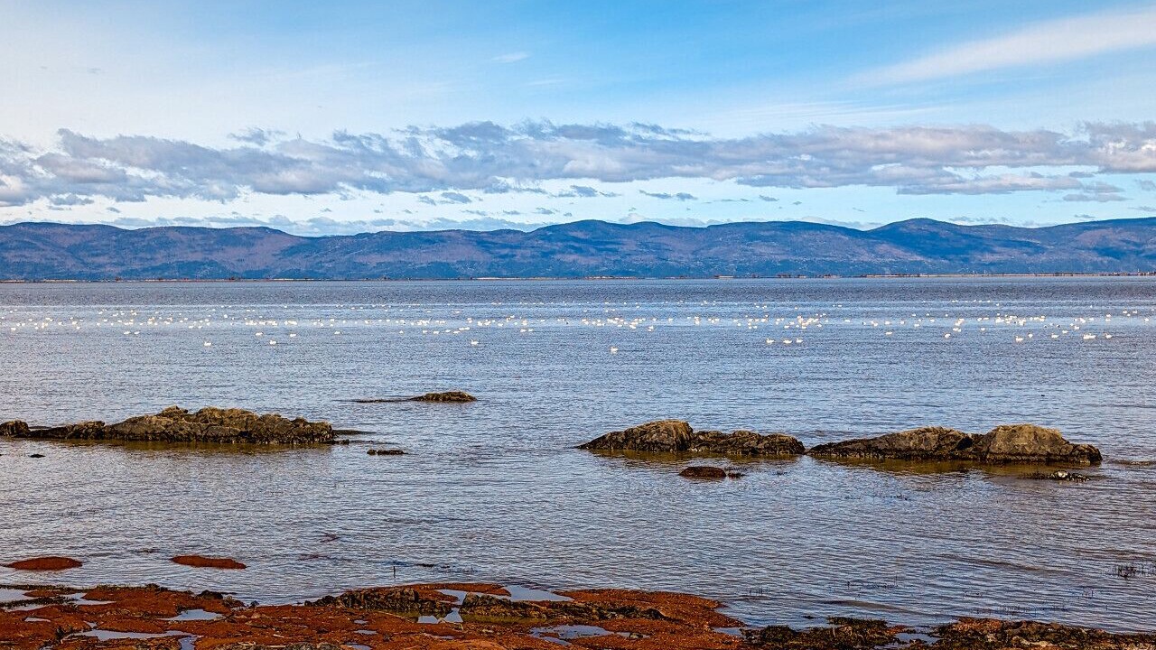 Photo of Others in Cap-Saint-Ignace