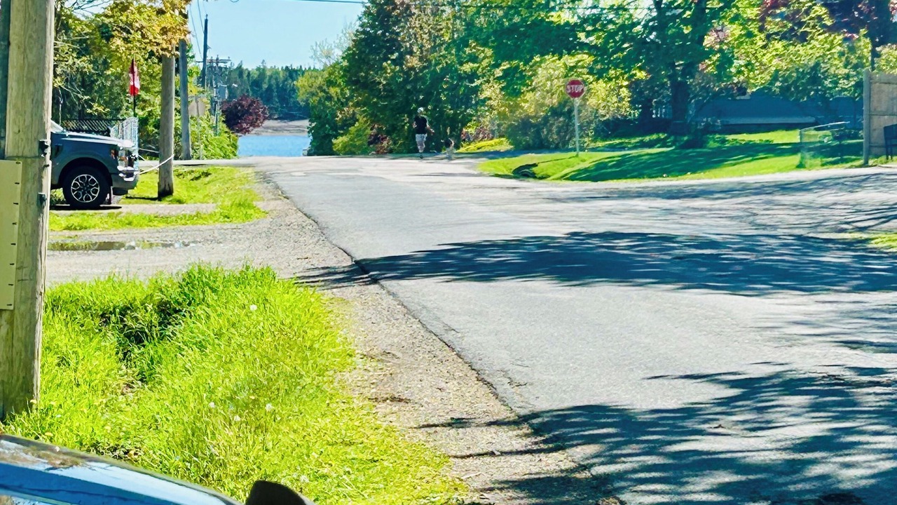 Photo of Outdoor in St. Andrews