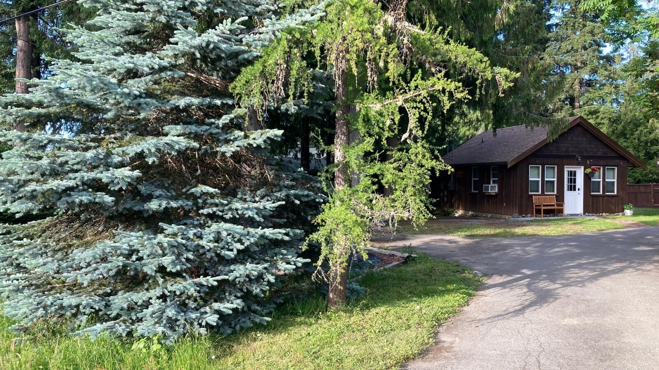 Photo of Outdoor in North Oyster