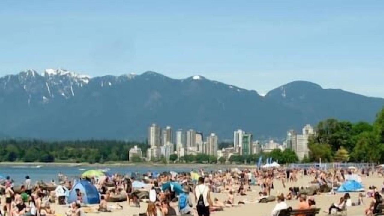 Photo of Others in Kitsilano