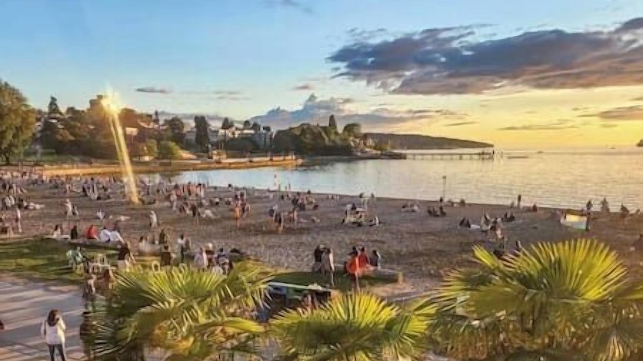 Photo of Others in Kitsilano