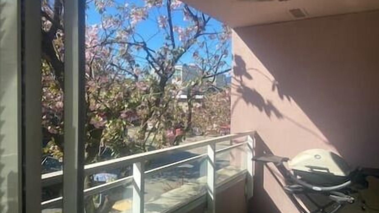 Photo of Outdoor in Kitsilano