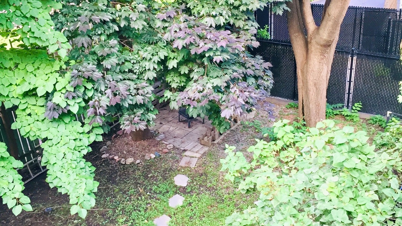 Photo of Outdoor in Montreal-Est