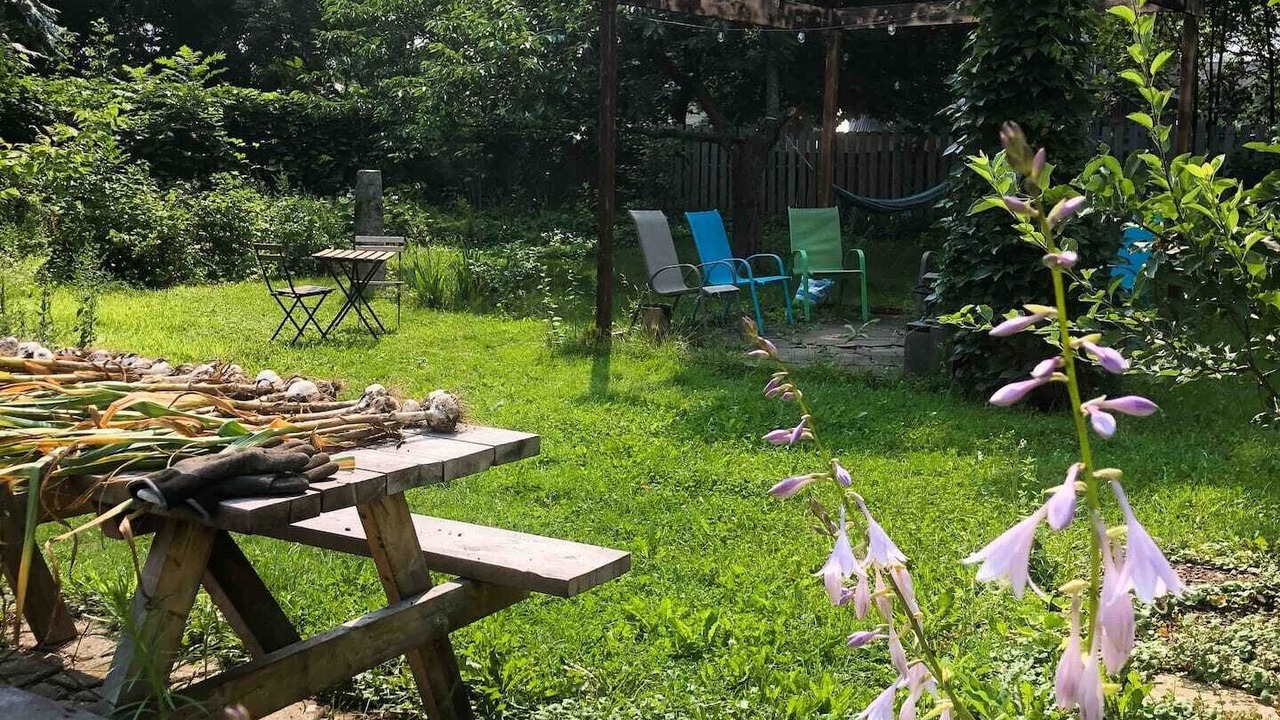 Photo of Outdoor in Fredericton