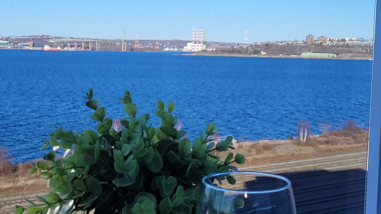Photo of Outdoor in Halifax