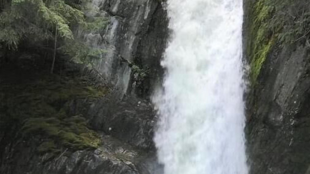 Photo of Others in D'Arcy