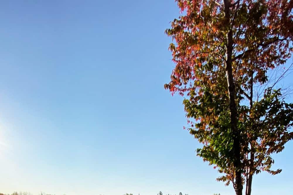 Photo of Outdoor in Red Bank