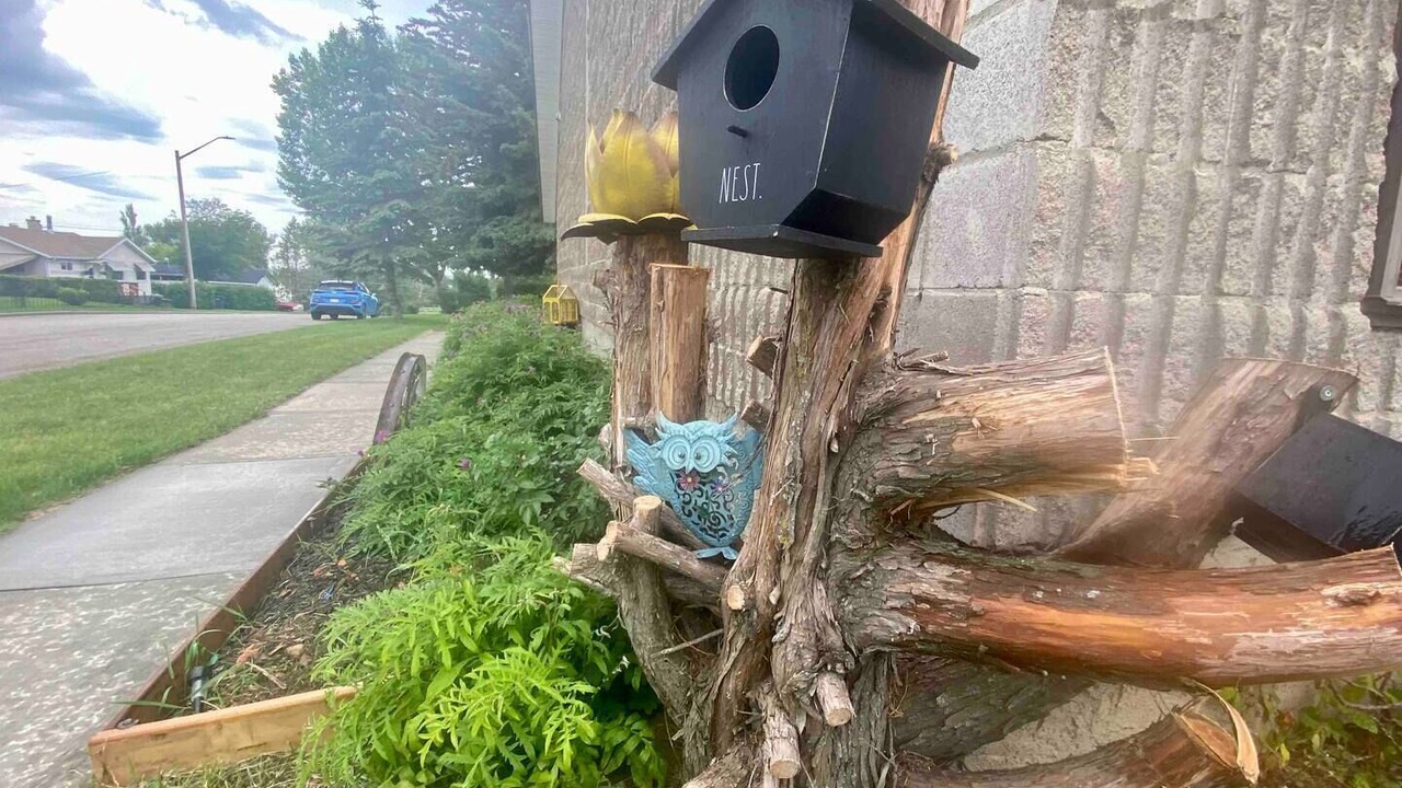 Photo of Outdoor in Bowden