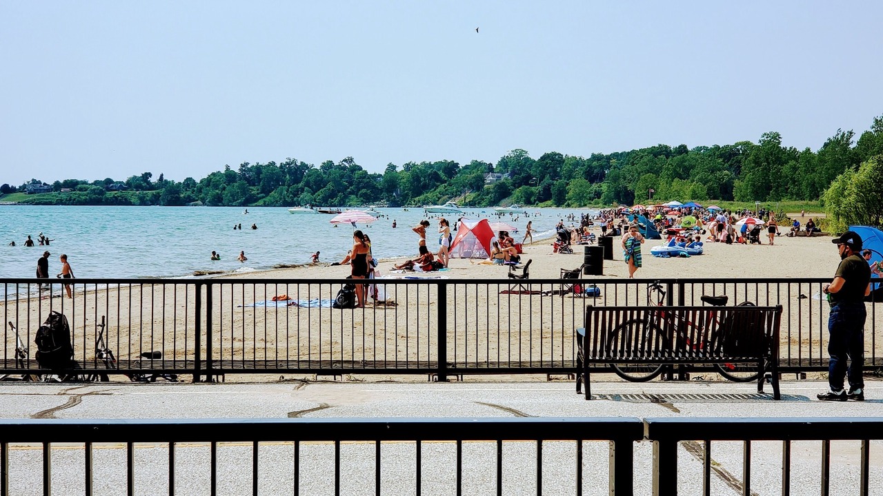 Photo of Others in Leamington