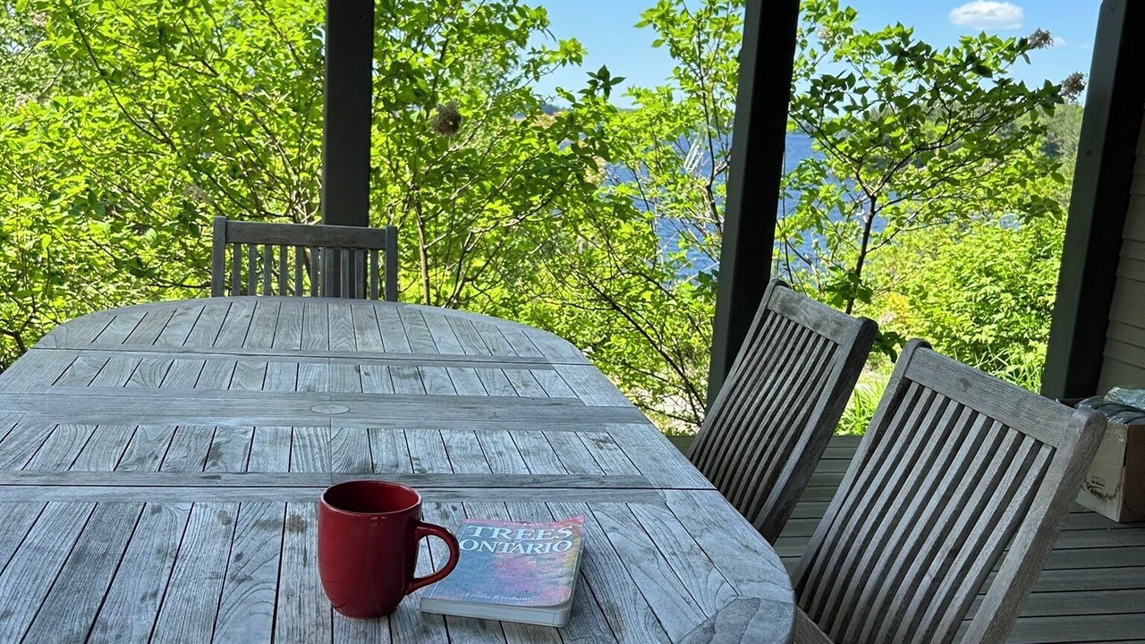 Photo of Outdoor in Muskoka Lakes