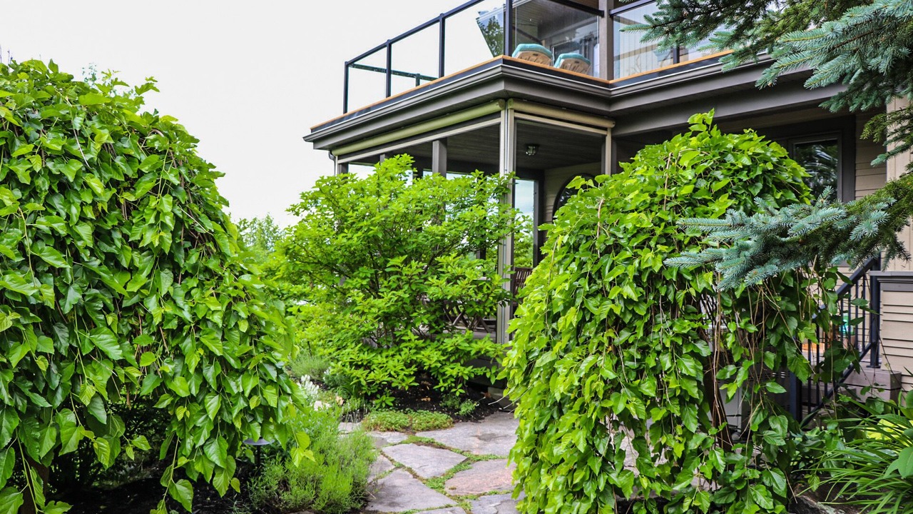 Photo of Outdoor in Muskoka Lakes