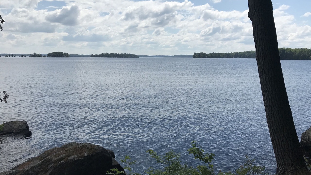 Photo of Others in Muskoka Lakes