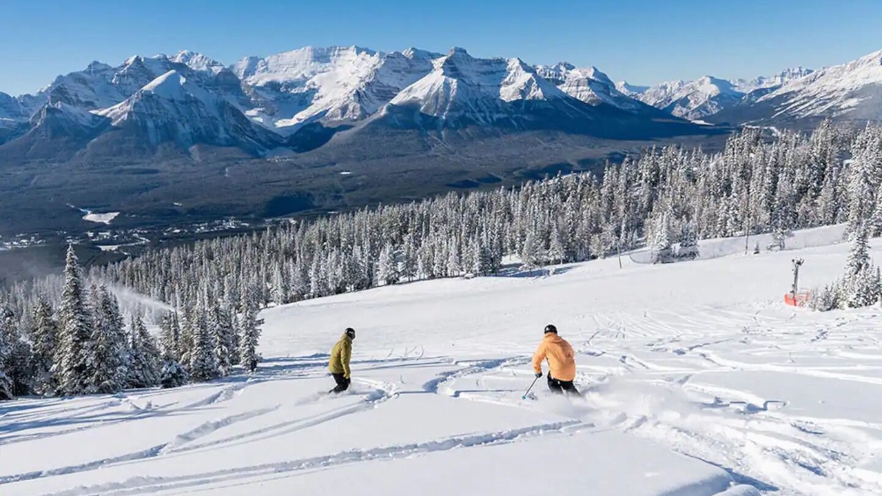 Photo of Others in Springbank