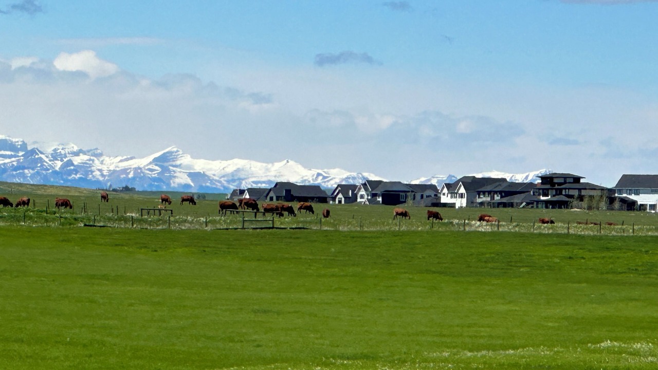 Photo of Others in Springbank