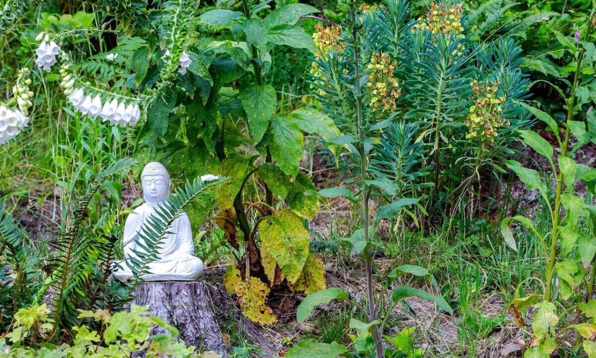 Photo of Outdoor in Salt Spring Island