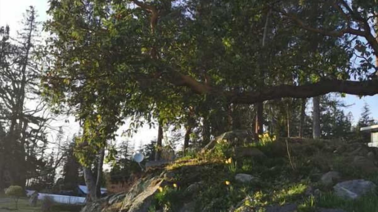 Photo of Outdoor in Powell River