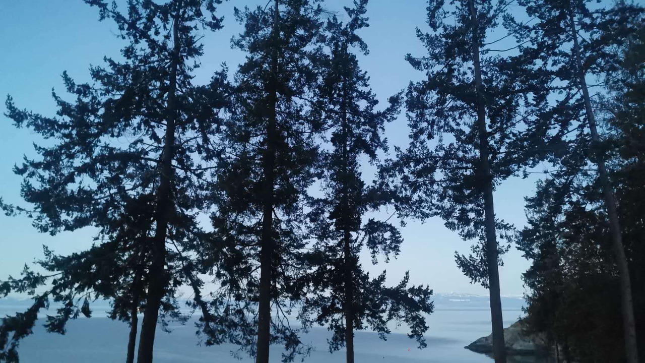 Photo of Others in Powell River