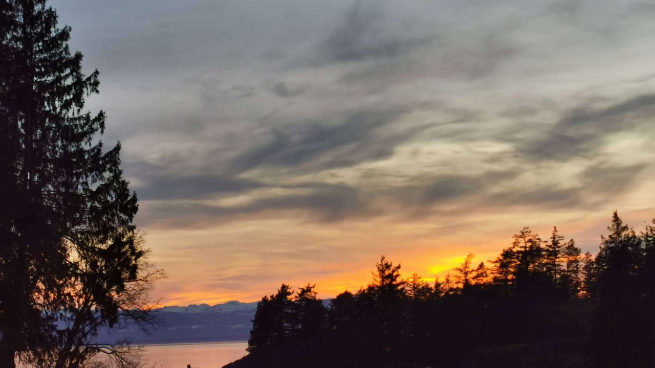 Photo of Others in Powell River