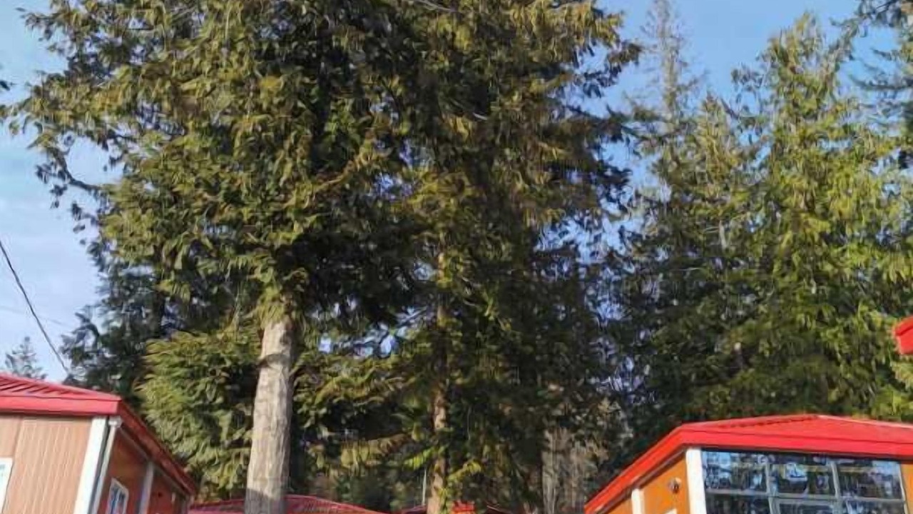 Photo of Outdoor in Powell River