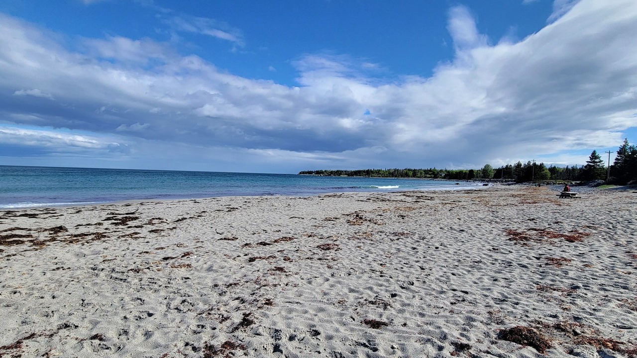 Photo of Others in Mill Cove