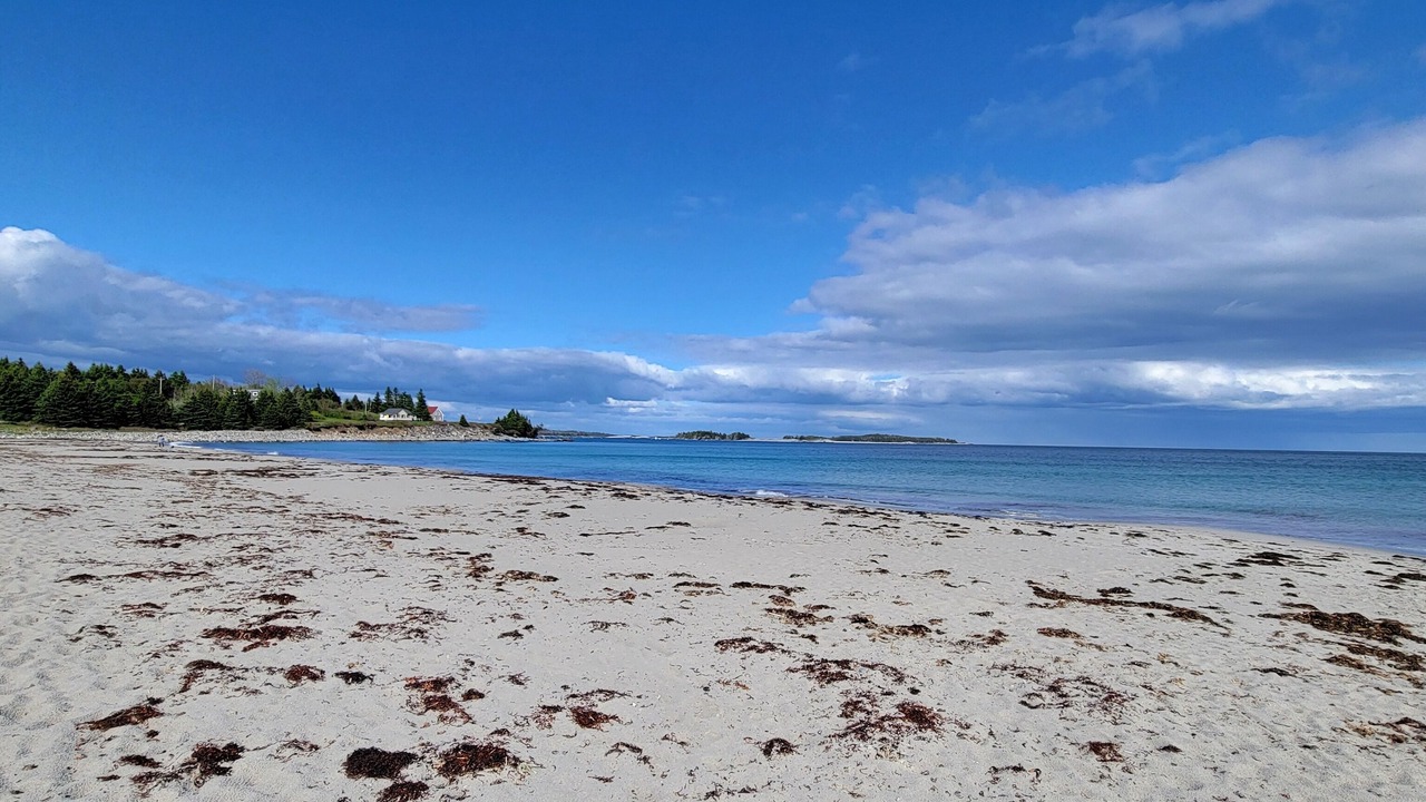 Photo of Others in Mill Cove