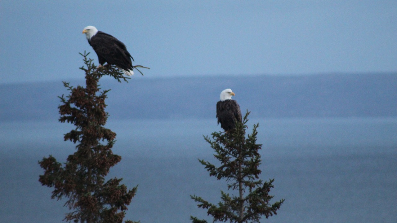 Photo of Outdoor in Iona
