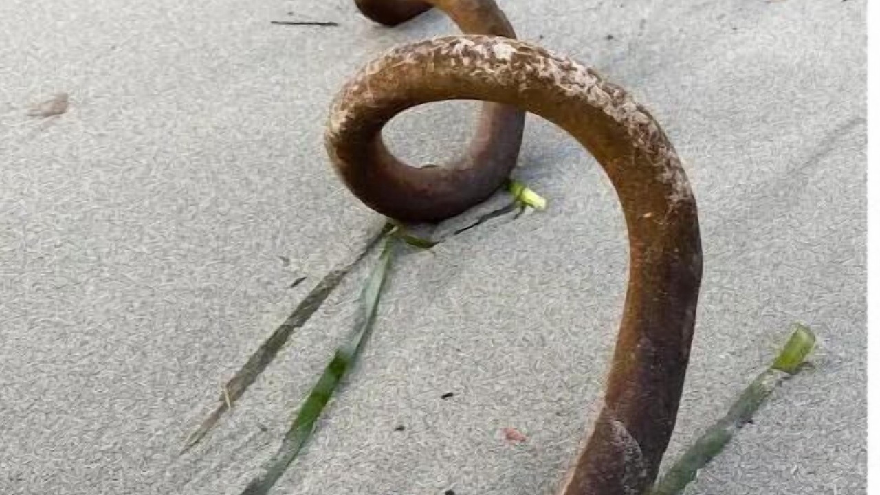 Photo of Outdoor in Sooke