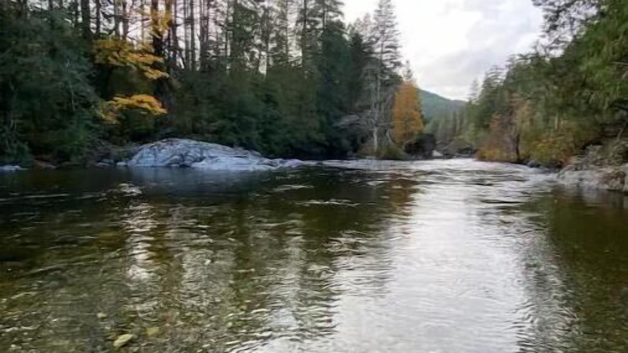 Photo of Outdoor in Sooke