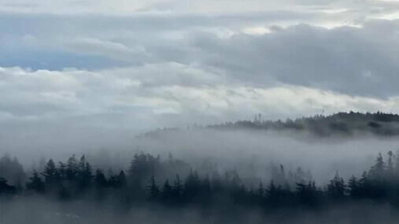 Photo of Outdoor in Sooke