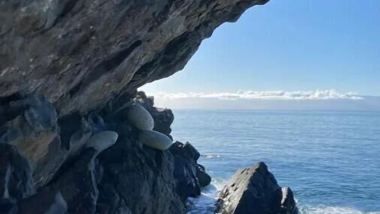 Photo of Others in Sooke