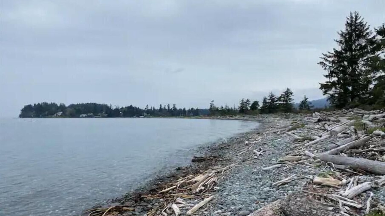 Photo of Others in Sooke