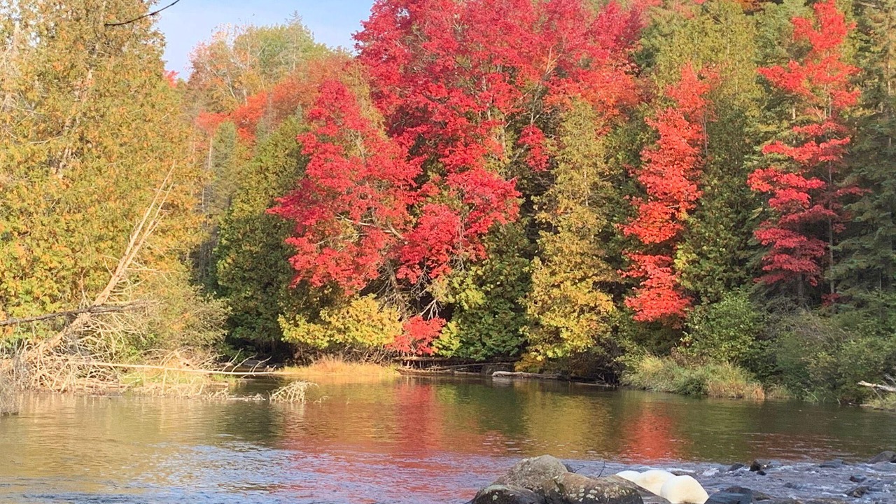 Photo of Outdoor in Haliburton