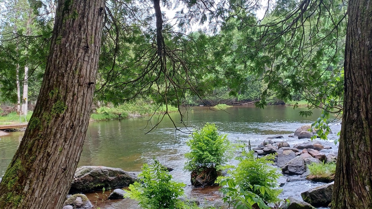 Photo of Outdoor in Haliburton