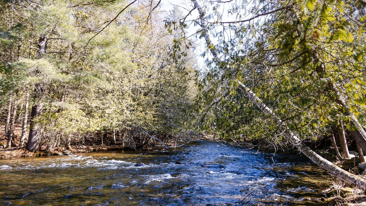 Photo of Outdoor in Haliburton