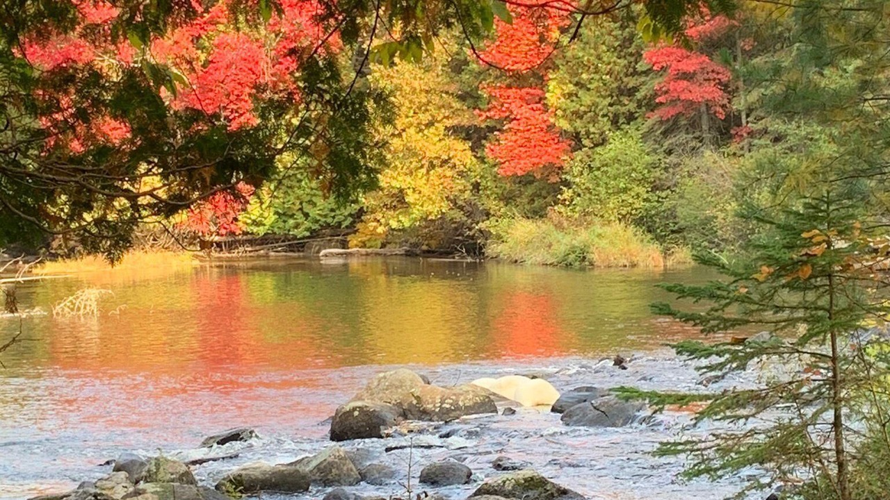 Photo of Outdoor in Haliburton