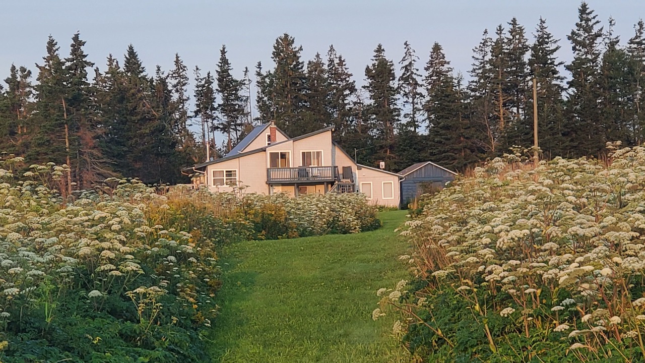 Photo of Outdoor in Little Sands