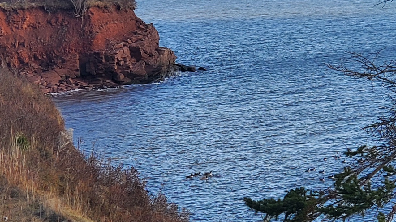 Photo of Outdoor in Little Sands