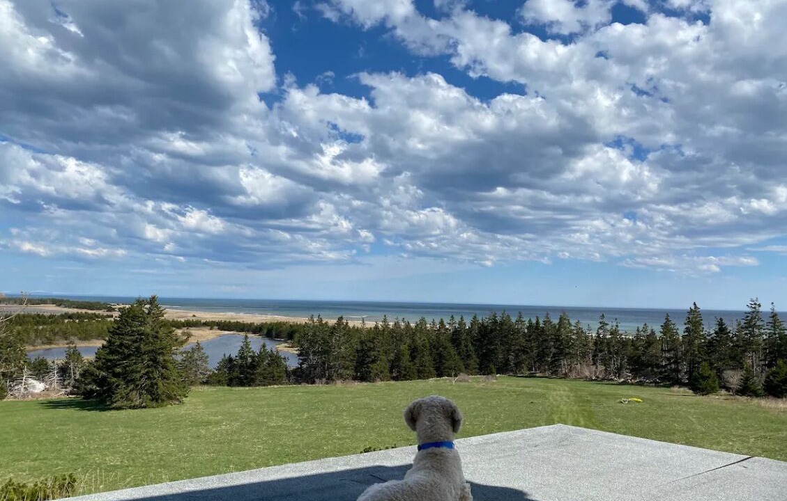 Photo of Outdoor in Lawrencetown