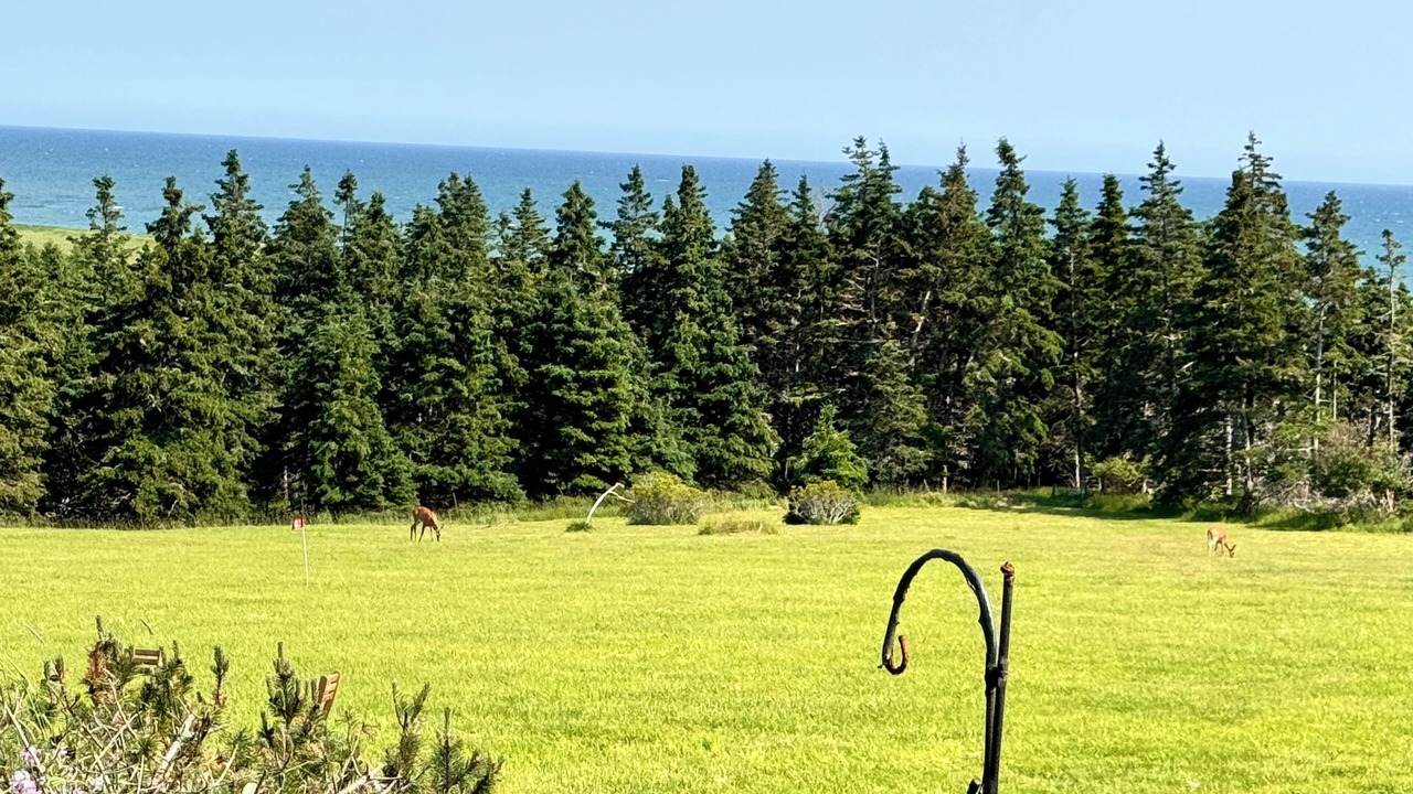 Photo of Others in Lawrencetown