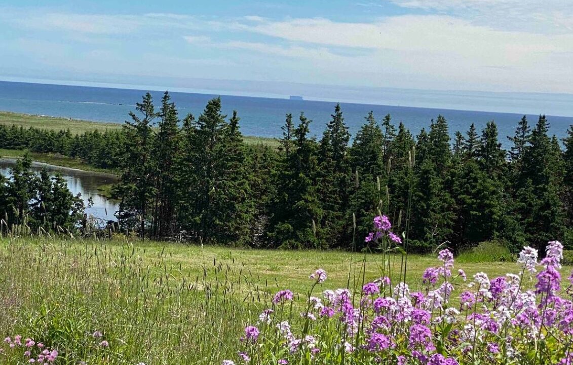 Photo of Others in Lawrencetown