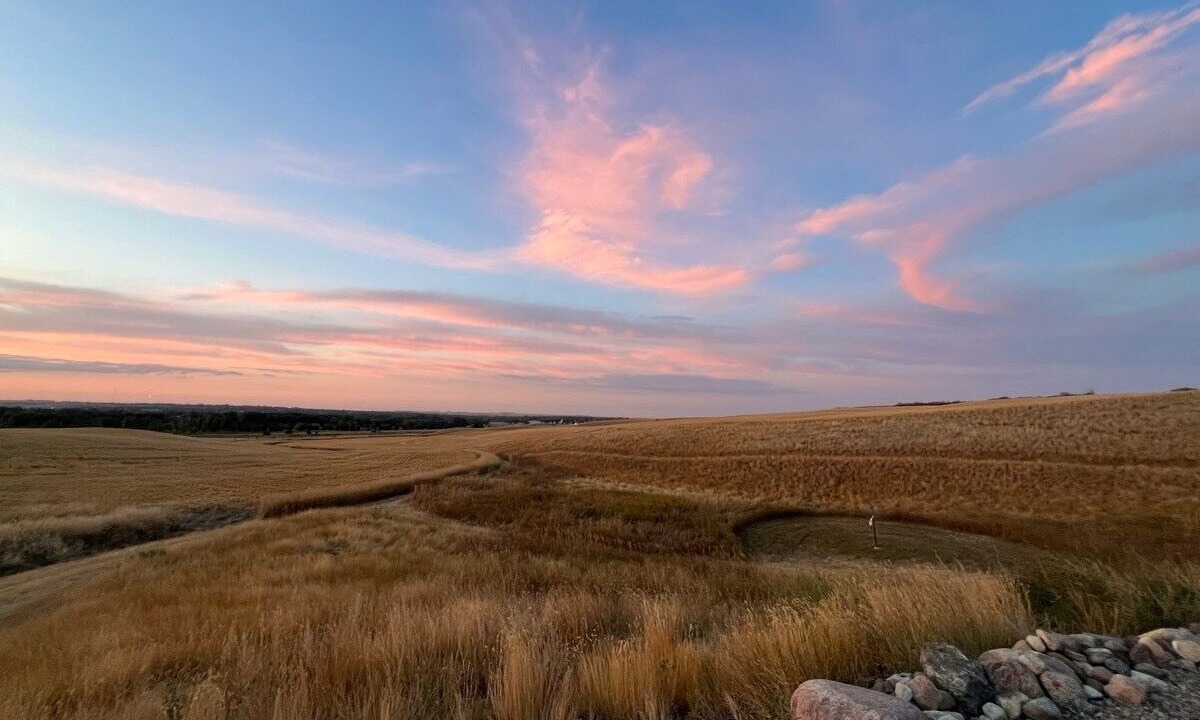 Photo of Others in Swift Current