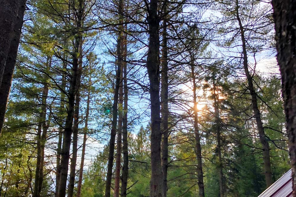Photo of Others in Madawaska Valley