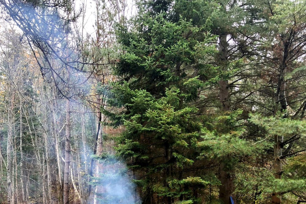Photo of Outdoor in Madawaska Valley